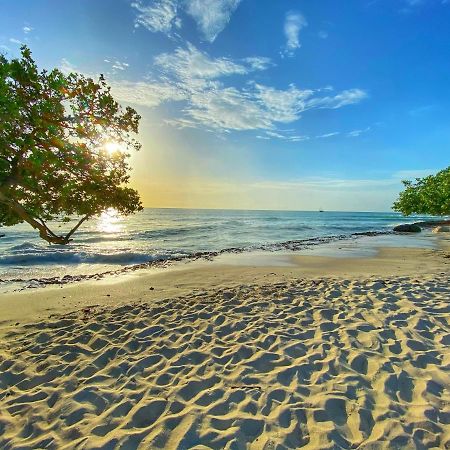 Palm Beach Paradise Vacation Rental エクステリア 写真