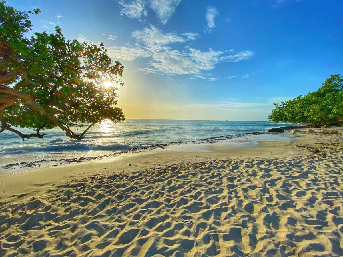 Palm Beach Paradise Vacation Rental エクステリア 写真